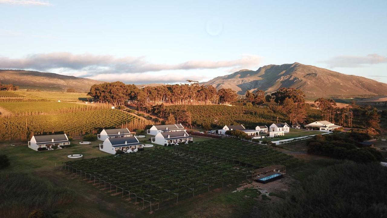 보트리비에르 Endless Vineyards At Wildekrans Wine Estate 게스트하우스 외부 사진