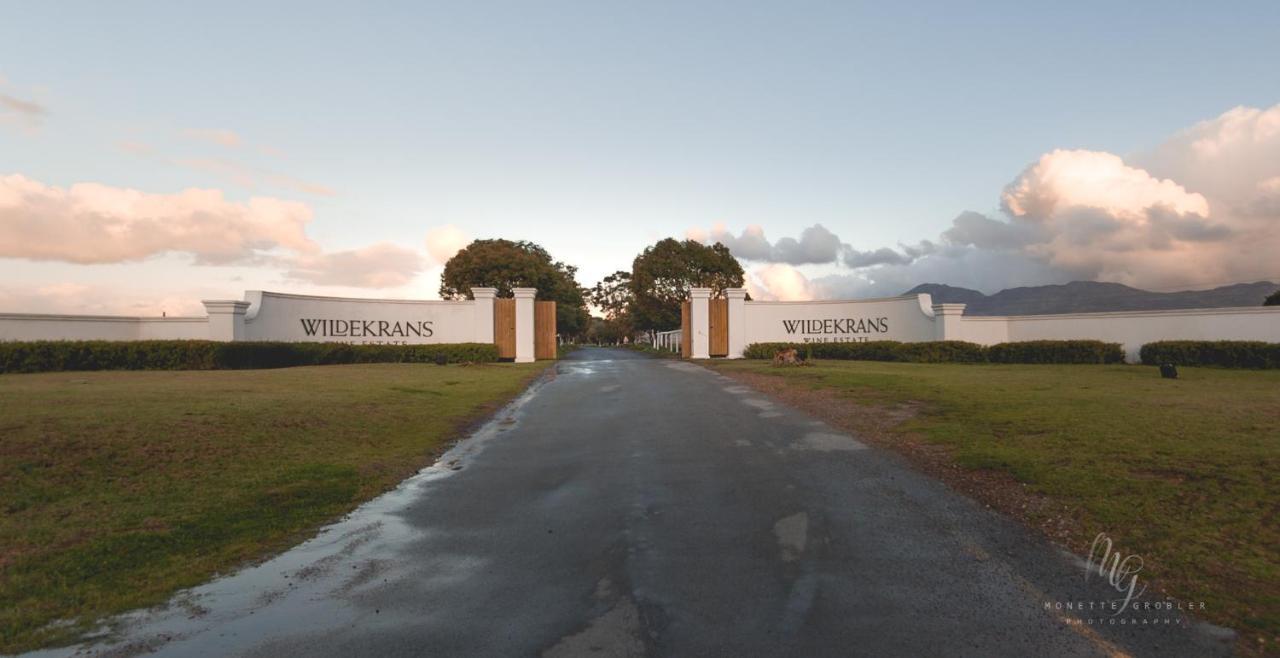 보트리비에르 Endless Vineyards At Wildekrans Wine Estate 게스트하우스 외부 사진