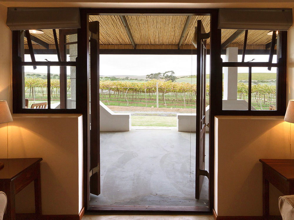 보트리비에르 Endless Vineyards At Wildekrans Wine Estate 게스트하우스 외부 사진