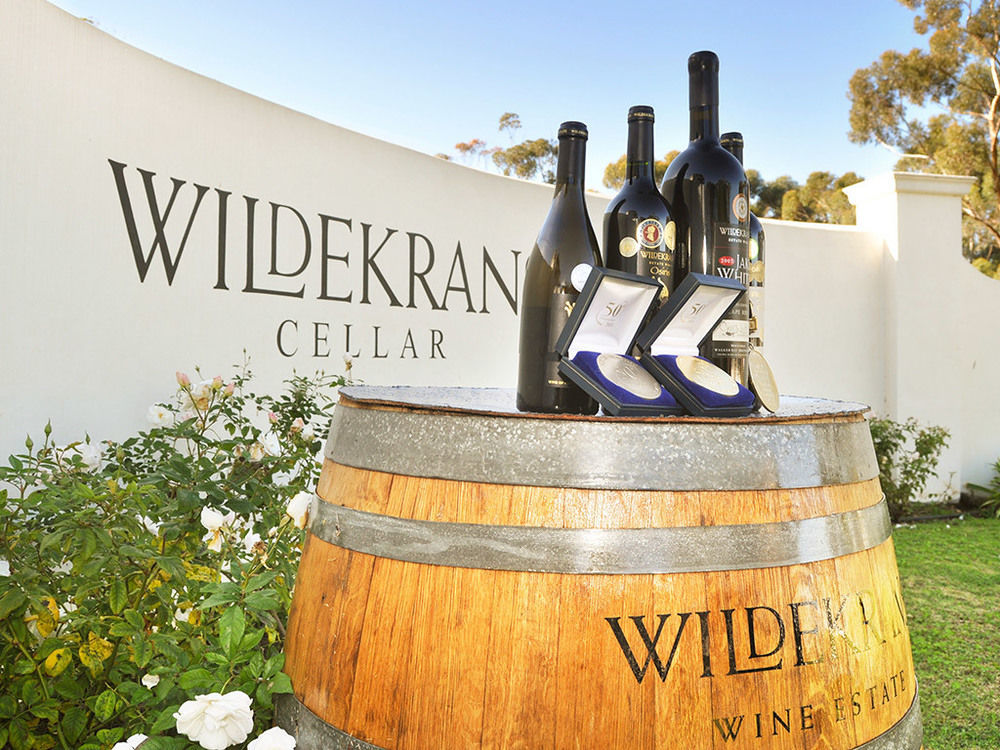 보트리비에르 Endless Vineyards At Wildekrans Wine Estate 게스트하우스 외부 사진