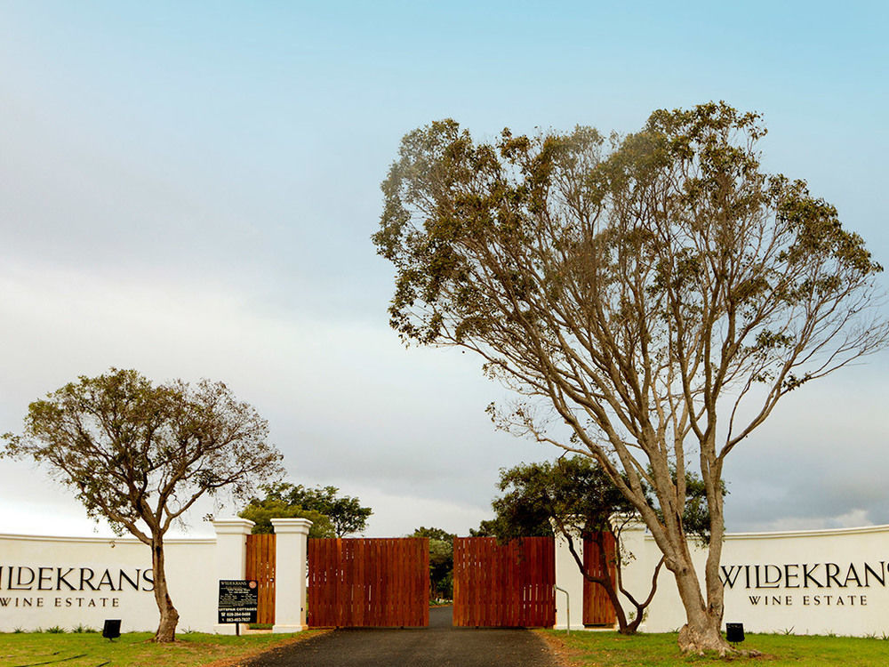 보트리비에르 Endless Vineyards At Wildekrans Wine Estate 게스트하우스 외부 사진
