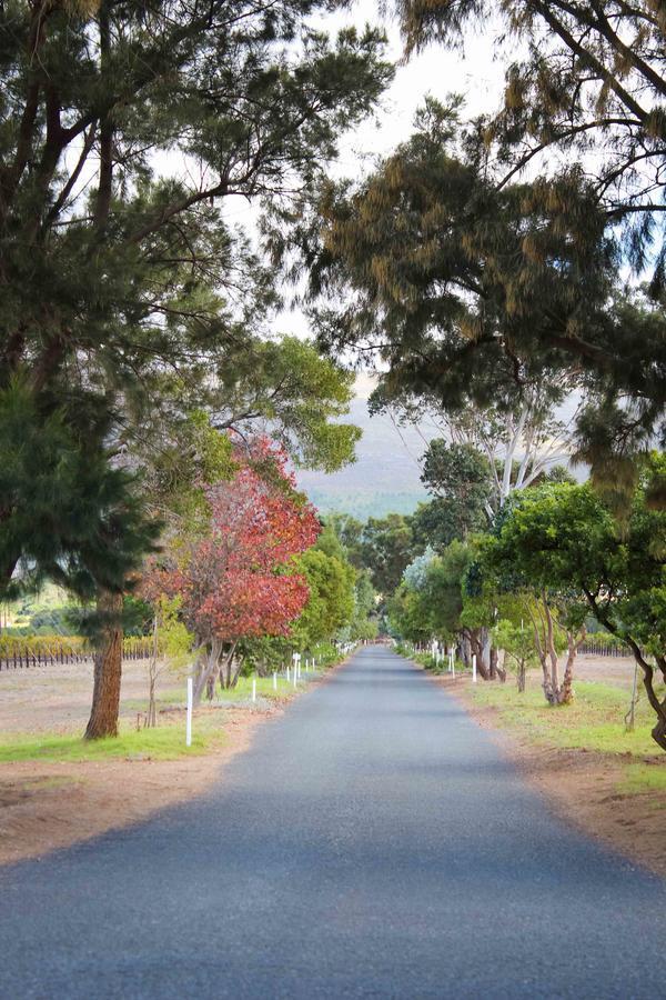 보트리비에르 Endless Vineyards At Wildekrans Wine Estate 게스트하우스 외부 사진