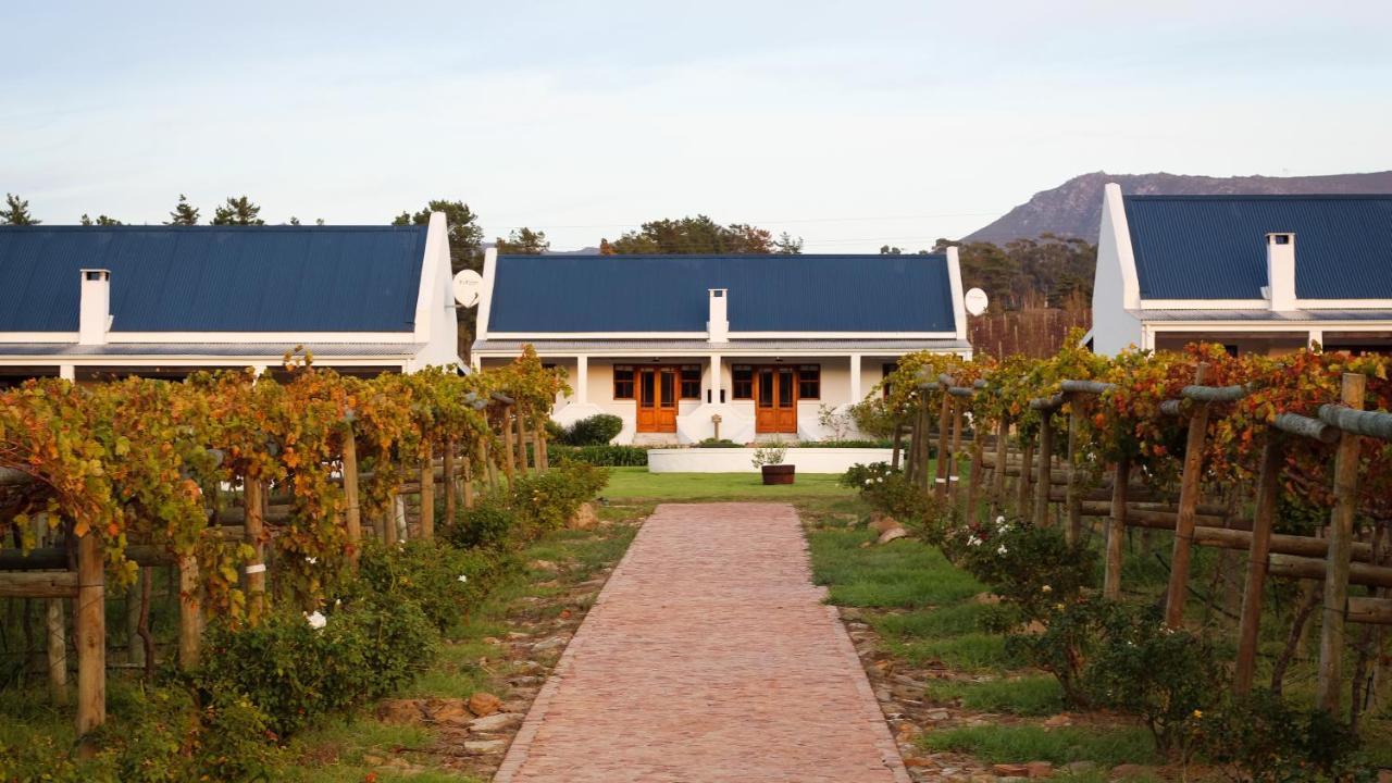 보트리비에르 Endless Vineyards At Wildekrans Wine Estate 게스트하우스 외부 사진